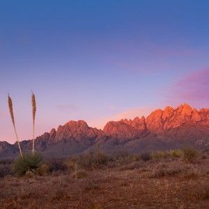 Meet your Posher, Dianna